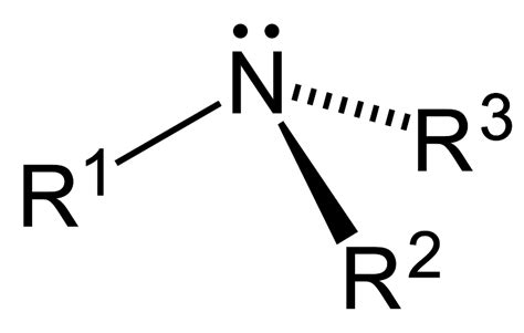 Amines | Introduction to Chemistry