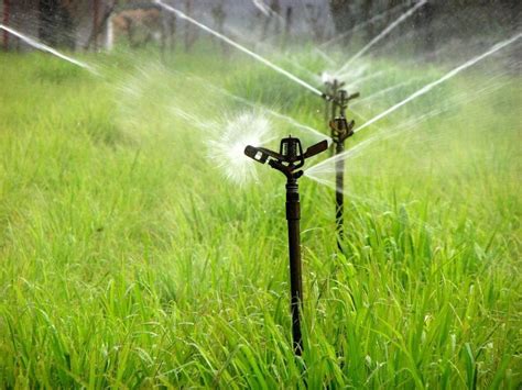 10 Efficient Ways To Water Management for Sustainable Farming.