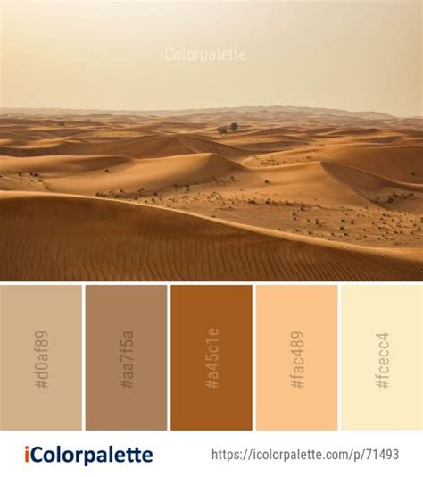 the desert is full of sand dunes, and there are many colors to choose from