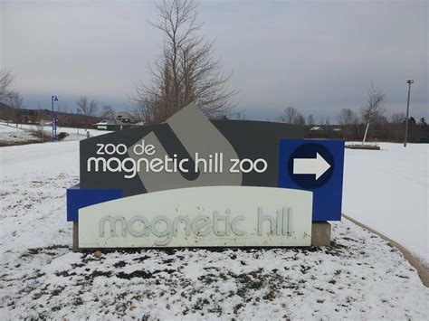 Magnetic Hill Zoo seeks local help to house animals during winter ...