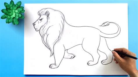 How to Draw a Lion Easy Step by Step || Lion Drawing - YouTube