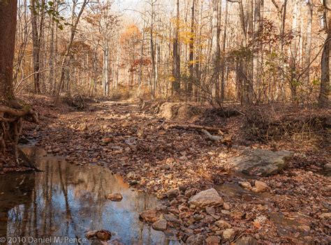 Rock Creek Park – Fall Colors | Dan Pence Photography