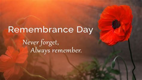 What is the significance of the poppy on Remembrance Day? | Terra Crest ...