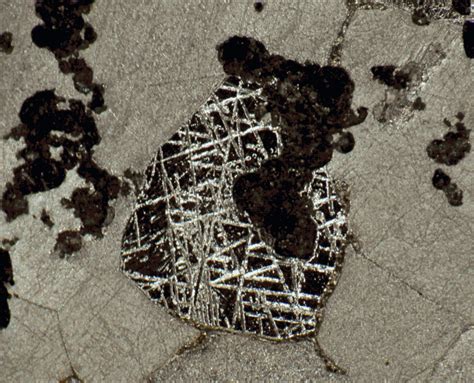 Meteorite Picture of the Day from Tucson Meteorites