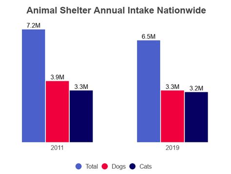 Animal Shelter Statistics [2022]: Facts & Data by Year