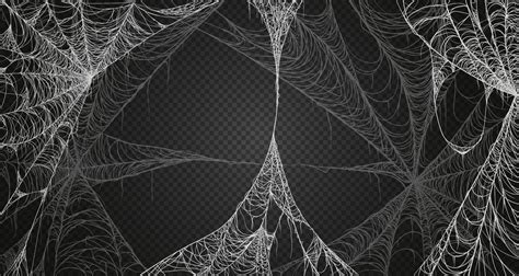 Cobweb realism set. Spiderweb for halloween, spooky, scary, horror decor 2304434 Vector Art at ...