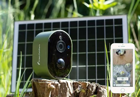 Green Feathers Solar Powered WiFi Bird Box Camera | Wild View Cameras