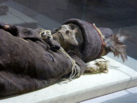 The Tarim mummies are a series of apparently Caucasian mummies discovered in the Tarim Basin in ...