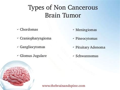 Types of brain tumors non cancerous | Brain tumor, Brain tumor symptoms, Brain tumor awareness