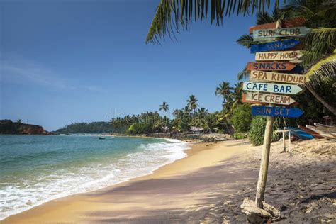 Mirissa Beach Tropical Paradise in Sri Lanka Stock Image - Image of resort, vacation: 249971319