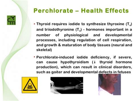 perchlorate-Health-effects image | City Water Filter Corp.