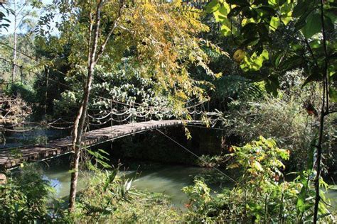 In Photos: XiShuangBanna Tropical Botanical Gardens – You're Not From ...