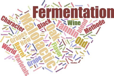 Malolactic Fermentation - WineTastingBliss.com