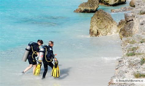 Read all about scuba diving, shore diving and boat diving at Bonaire! | Beautiful Bonaire