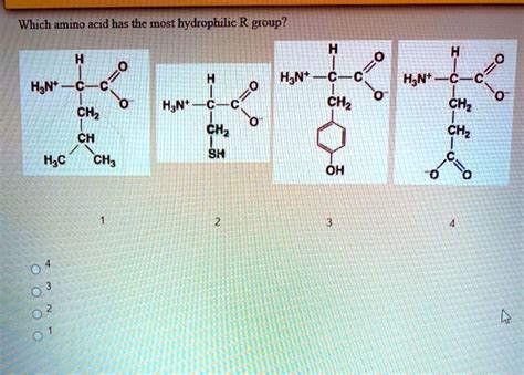 Aspartic Acid R Group