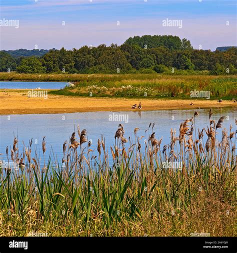 Rutland Water Nature Reserve Lagoon 4 Stock Photo - Alamy