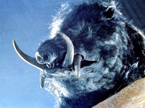 Seven classic animal attack movies you’ve never heard of - Little White Lies