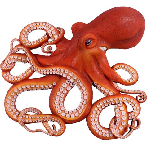 Octopus Free Download PNG HQ Transparent HQ PNG Download | FreePNGimg