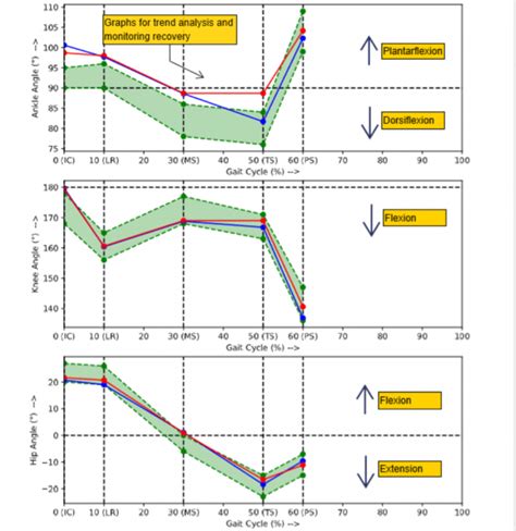 Kinematic graphs - auptimo