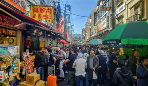 Tsukiji Area Guide | Tokyo Cheapo