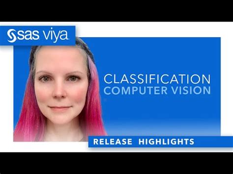 Classification, Computer Vision at the Beach | SAS Viya 2023.02 - SAS Support Communities