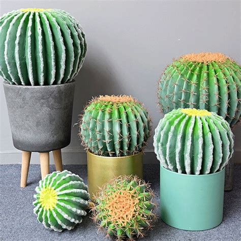 Cactus Centerpiece - Etsy