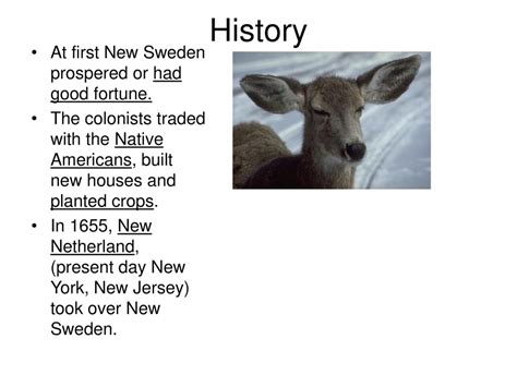 Social Studies History - ppt download