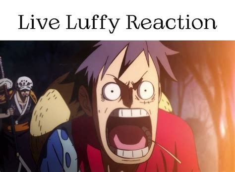 Live Luffy Reaction - iFunny