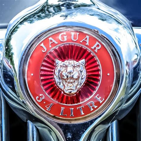 old jaguar car emblem - Large Ones Cyberzine Efecto