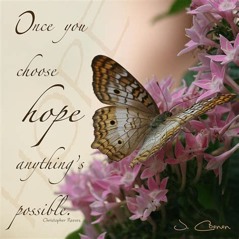 Hope Butterfly Photograph by Jane Coenen