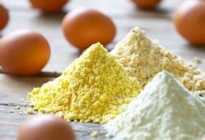 Dried Egg Powder Products