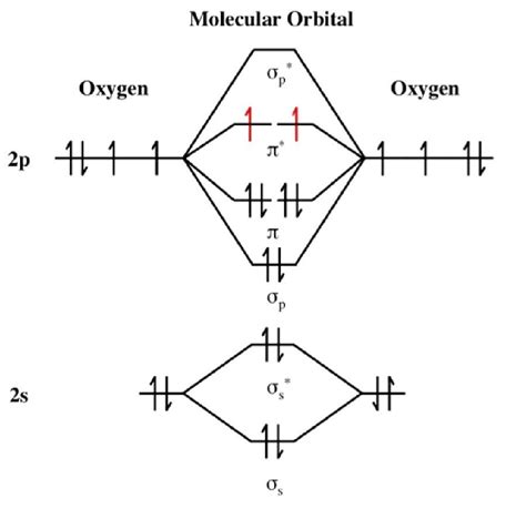 c2 2 molecular orbital diagram - Upglam