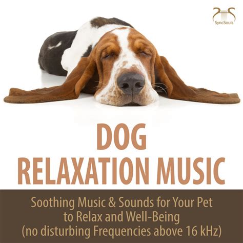 Dog Relaxation Music - Soothing Music & Sounds for Your Pet to Relax ...