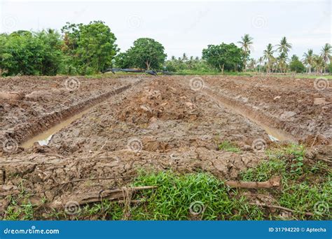 Furrow plowing soil stock photo. Image of clay, agricultural - 31794220