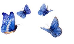 Butterfly Animated Gif Free Download - Animated Gifs at Animated-Gifs ...