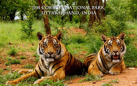 Go On An Adventurous Holiday With These 5 National Parks Of India | IWMBuzz