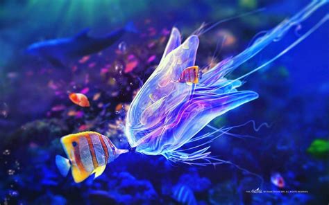 Unique and Cool Sea Creature | Archzaki.Net | Cool sea creatures, Fish wallpaper, Beautiful fish