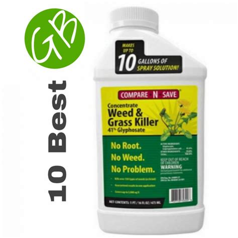 10 Best Dandelion Killer – Gardening Brain