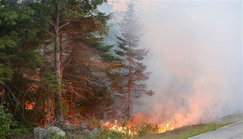 Too soon to predict summer wildfires in Nova Scotia: atmospheric scientist - Halifax | Globalnews.ca