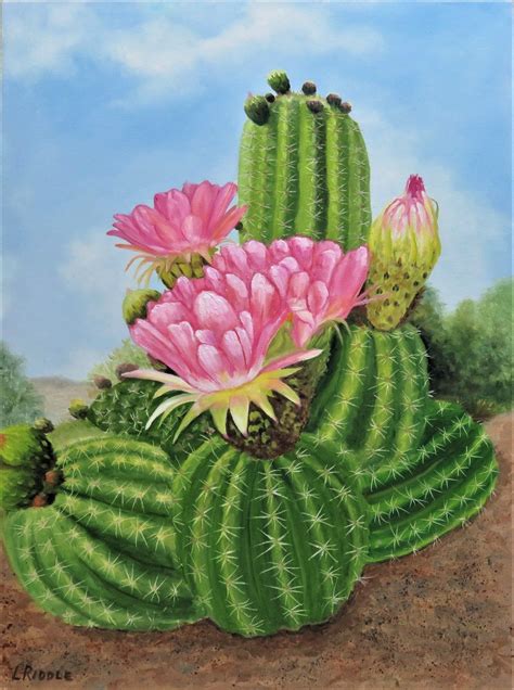 Pink Cactus 12x16 Oil Original, Desert Flower, Desert Plant, Cacti - Etsy | Pintura de cactus ...