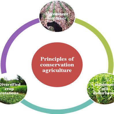 (PDF) Conservation Agriculture and Climate Change: An Overview