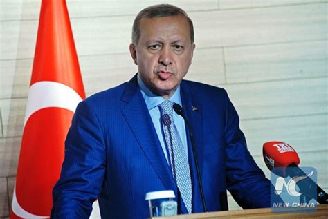 Turkey president says ready to build own aircraft carriers - China.org.cn