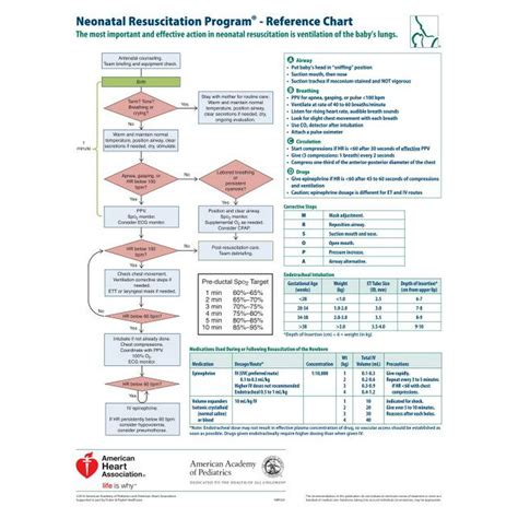 Nrp: Nrp Wall Chart (Other) - Walmart.com - Walmart.com