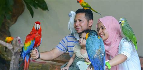 Jurong Bird Park Singapore | Limo6