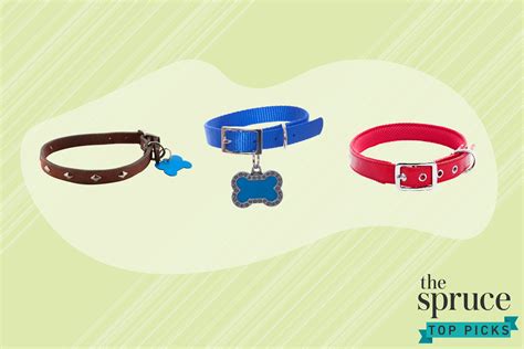 The 9 Best Dog Training Collars of 2021