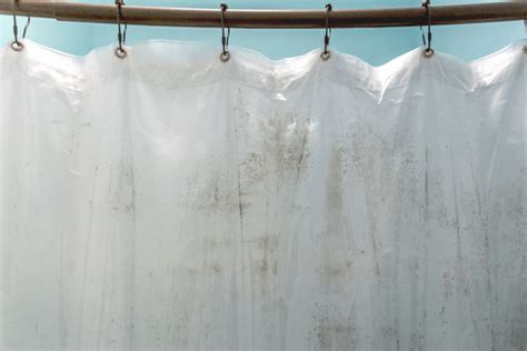 How to Clean Shower Curtain Mold - LivingProofMag