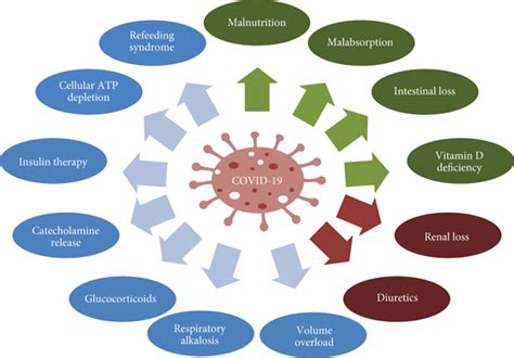 Hypophosphatemia in Coronavirus Disease 2019 (COVID-19), Complications, and Considerations: A ...