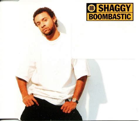 Shaggy Boombastic Vinyl Records and CDs For Sale | MusicStack