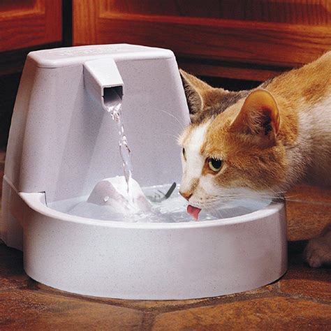 Drinkwell® Original Fountain - Fuente de Agua Automática para Perros – La Tienda de Frida ...