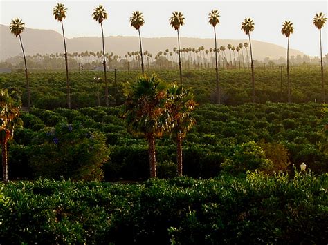 California Citrus State Historic Park, Riverside, CA - California Beaches